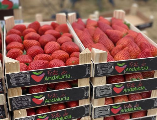 Fruta de Andalucía alcanza en la campaña 2023-2024 su mayor cifra de actividad