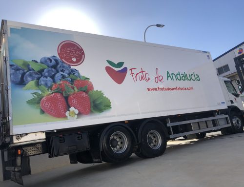 Fruta de Andalucía, finalista de los Premios Alas por el crecimiento de sus exportaciones y la apertura de nuevos mercados